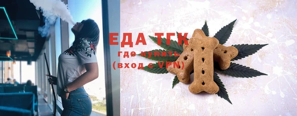 мет Ельня