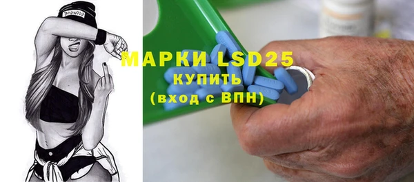 МДПВ Елабуга