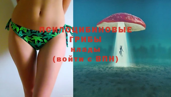 МДПВ Елабуга