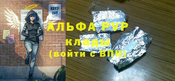 мет Ельня