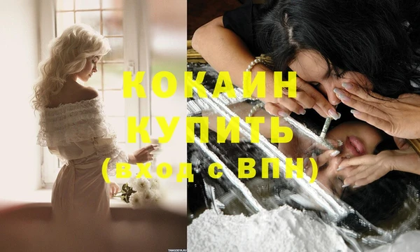 мет Ельня